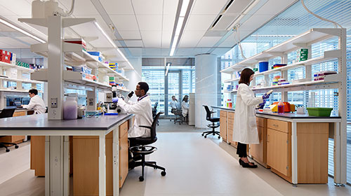 Deparmen f Pharmaclgy Lks Ahead  New Discveries and Cllabrains
