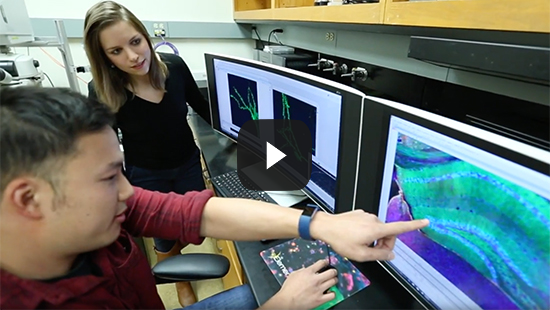 Investigating the molecular and cellular physiology of calcium signaling